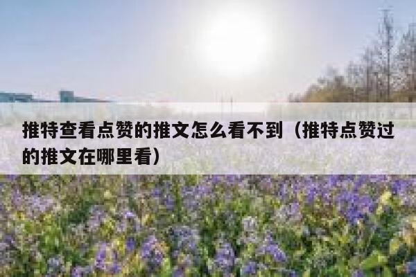 推特查看点赞的推文怎么看不到（推特点赞过的推文在哪里看） 第1张