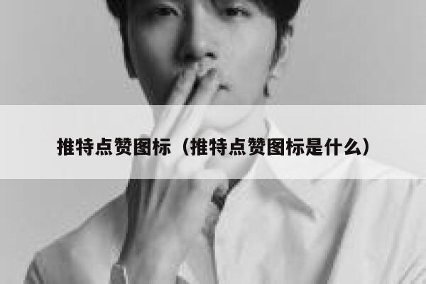 推特点赞图标（推特点赞图标是什么） 第1张