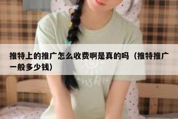 推特上的推广怎么收费啊是真的吗（推特推广一般多少钱） 第1张