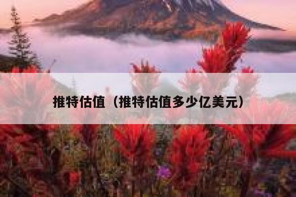 推特估值（推特估值多少亿美元） 第1张