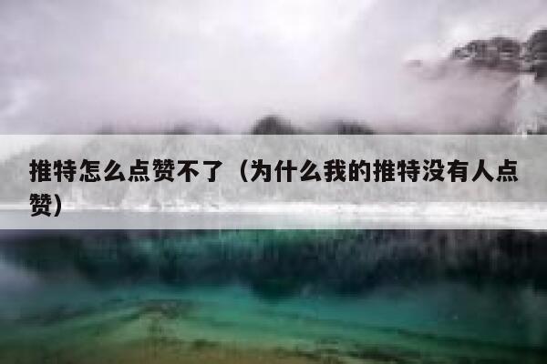 推特怎么点赞不了（为什么我的推特没有人点赞） 第1张