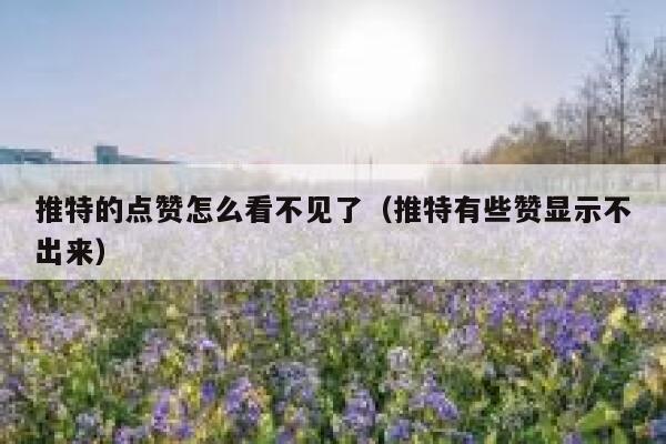 推特的点赞怎么看不见了（推特有些赞显示不出来） 第1张