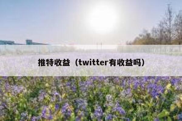 推特收益（twitter有收益吗） 第1张