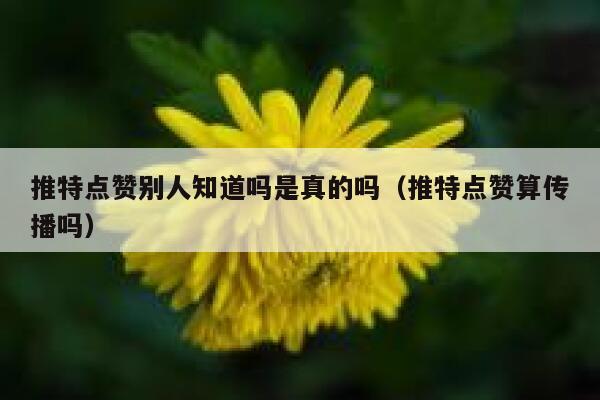 推特点赞别人知道吗是真的吗（推特点赞算传播吗） 第1张