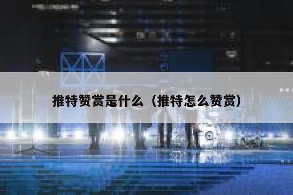 推特赞赏是什么（推特怎么赞赏） 第1张