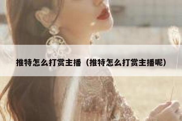 推特怎么打赏主播（推特怎么打赏主播呢） 第1张
