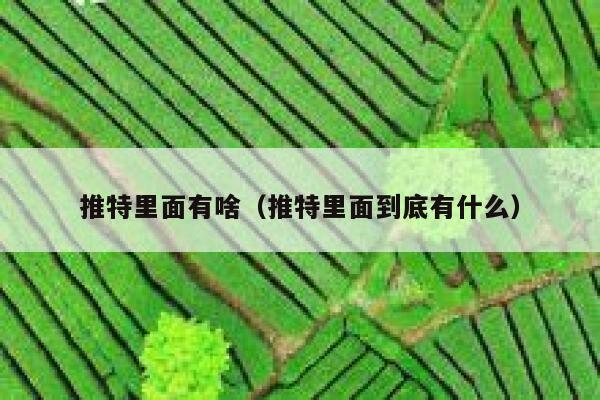 推特里面有啥（推特里面到底有什么） 第1张