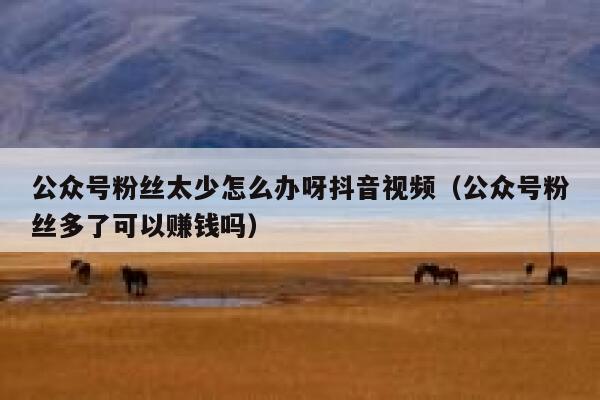 公众号粉丝太少怎么办呀抖音视频（公众号粉丝多了可以赚钱吗） 第1张