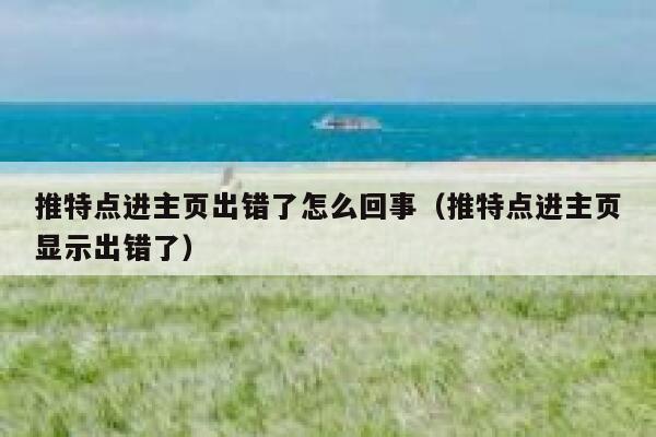 推特点进主页出错了怎么回事（推特点进主页显示出错了） 第1张