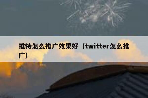 推特怎么推广效果好（twitter怎么推广） 第1张