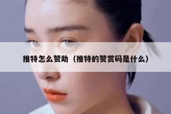 推特怎么赞助（推特的赞赏码是什么） 第1张