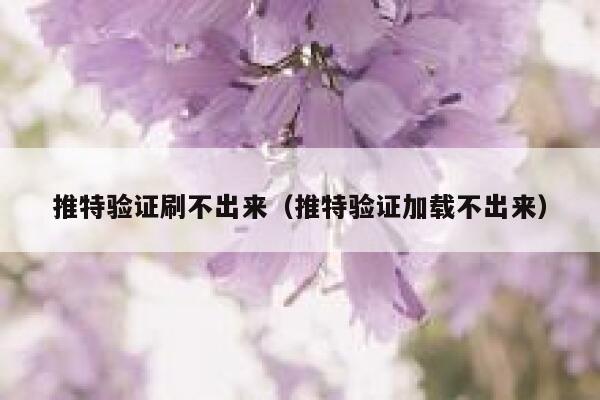 推特验证刷不出来（推特验证加载不出来） 第1张