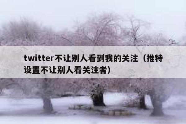 twitter不让别人看到我的关注（推特设置不让别人看关注者） 第1张