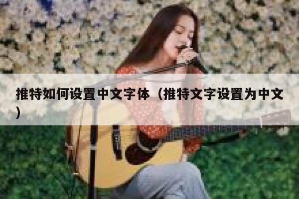 推特如何设置中文字体（推特文字设置为中文） 第1张