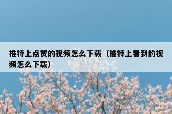 推特上点赞的视频怎么下载（推特上看到的视频怎么下载） 第1张