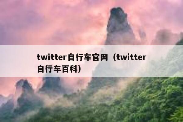 twitter自行车官网（twitter自行车百科） 第1张