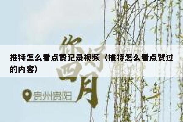 推特怎么看点赞记录视频（推特怎么看点赞过的内容） 第1张