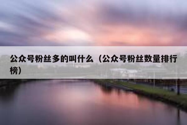 公众号粉丝多的叫什么（公众号粉丝数量排行榜） 第1张