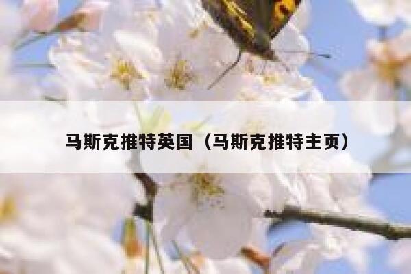 马斯克推特英国（马斯克推特主页） 第1张