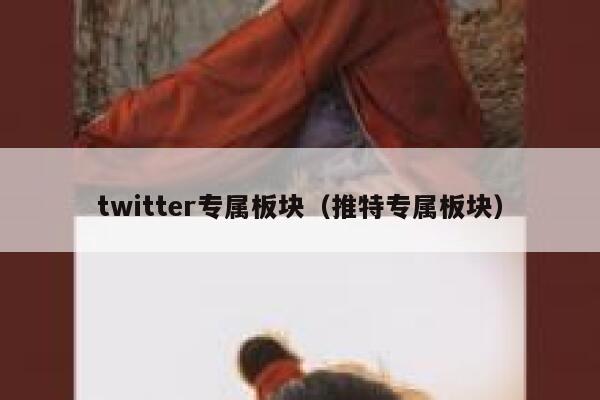 twitter专属板块（推特专属板块） 第1张