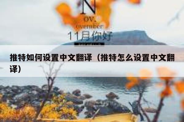 推特如何设置中文翻译（推特怎么设置中文翻译） 第1张