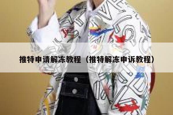推特申请解冻教程（推特解冻申诉教程） 第1张