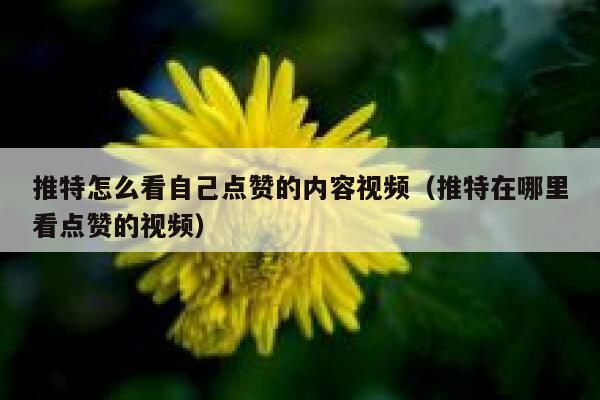 推特怎么看自己点赞的内容视频（推特在哪里看点赞的视频） 第1张