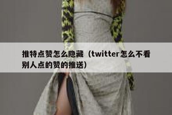 推特点赞怎么隐藏（twitter怎么不看别人点的赞的推送） 第1张