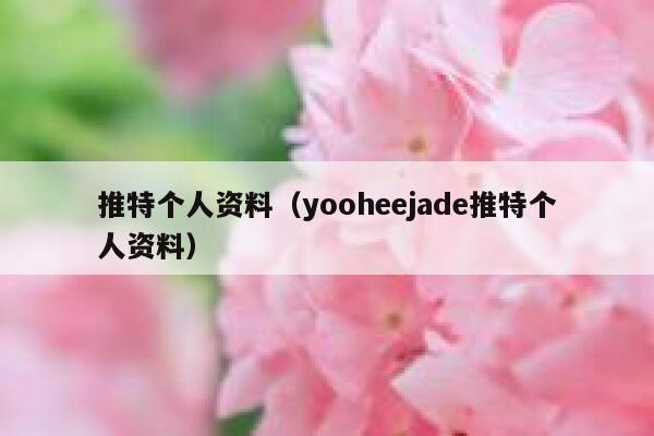 推特个人资料（yooheejade推特个人资料） 第1张
