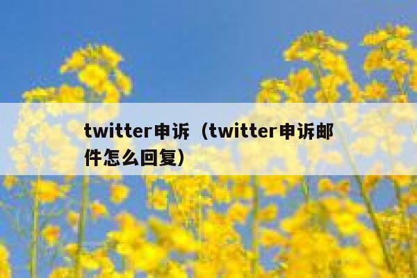 twitter申诉（twitter申诉邮件怎么回复） 第1张