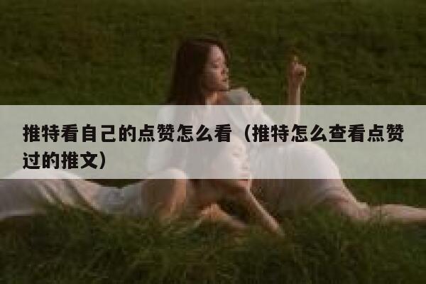 推特看自己的点赞怎么看（推特怎么查看点赞过的推文） 第1张