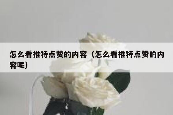 怎么看推特点赞的内容（怎么看推特点赞的内容呢） 第1张