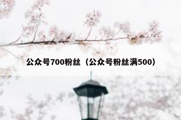 公众号700粉丝（公众号粉丝满500） 第1张