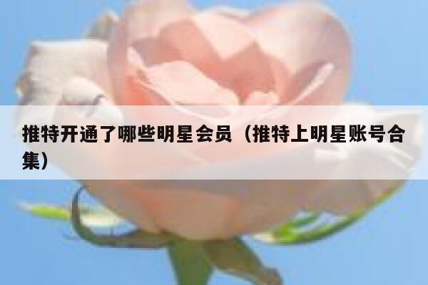 推特开通了哪些明星会员（推特上明星账号合集） 第1张