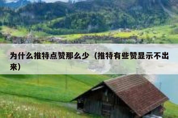 为什么推特点赞那么少（推特有些赞显示不出来） 第1张