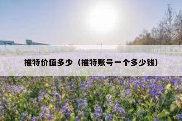 推特价值多少（推特账号一个多少钱） 第1张