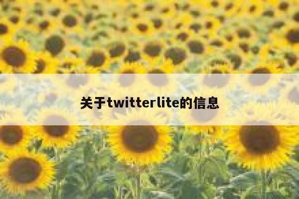 关于twitterlite的信息 第1张