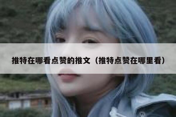 推特在哪看点赞的推文（推特点赞在哪里看） 第1张