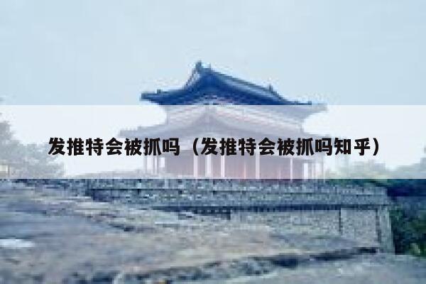 发推特会被抓吗（发推特会被抓吗知乎） 第1张