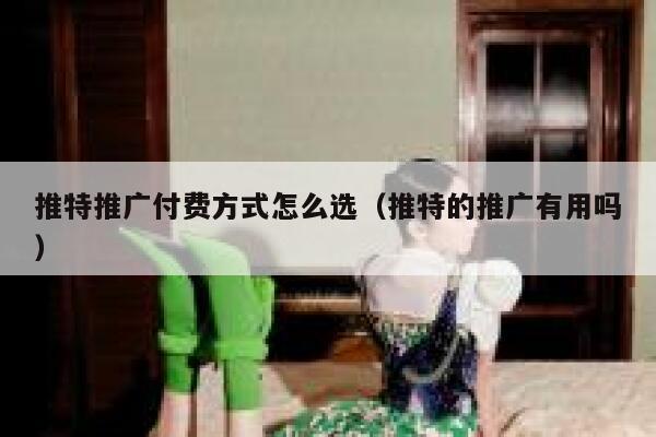 推特推广付费方式怎么选（推特的推广有用吗） 第1张