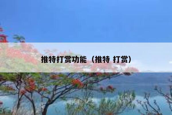 推特打赏功能（推特 打赏） 第1张