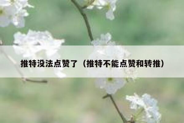 推特没法点赞了（推特不能点赞和转推） 第1张
