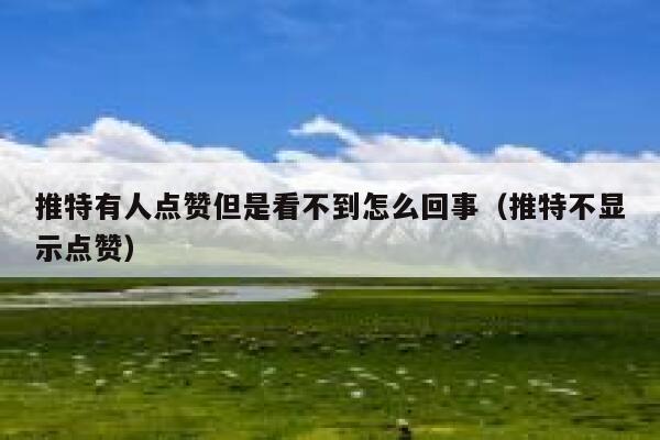 推特有人点赞但是看不到怎么回事（推特不显示点赞） 第1张