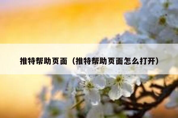 推特帮助页面（推特帮助页面怎么打开） 第1张