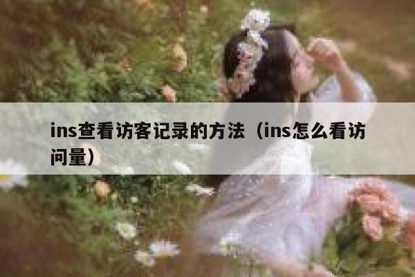 ins查看访客记录的方法（ins怎么看访问量） 第1张