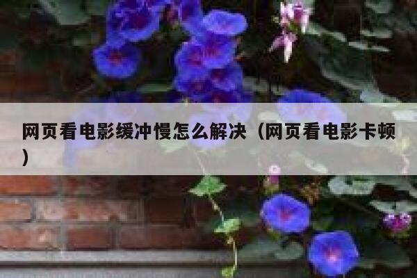网页看电影缓冲慢怎么解决（网页看电影卡顿） 第1张