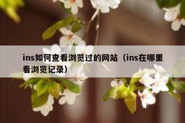 ins如何查看浏览过的网站（ins在哪里看浏览记录） 第1张