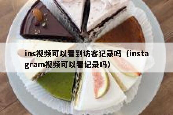 ins视频可以看到访客记录吗（instagram视频可以看记录吗） 第1张