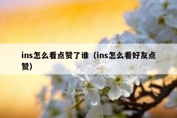 ins怎么看点赞了谁（ins怎么看好友点赞） 第1张