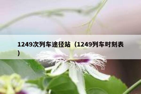 1249次列车途径站（1249列车时刻表） 第1张